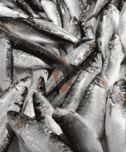 Fresh Atlantic Titus fish ready for cooking from MeatMill Nigeria