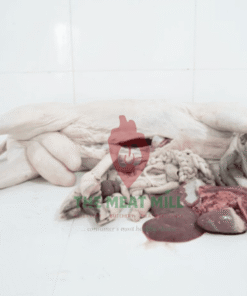 Premium 24kg full ram with all parts: 16kg meat+bone, 4kg head/legs/offals, HACCP/SON/NAFDAC certified.