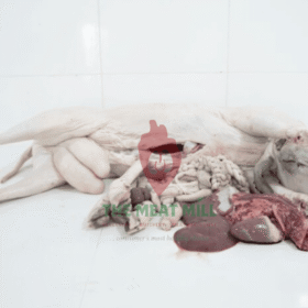 Full ram - 24kg Premium 24kg full ram with all parts: 16kg meat+bone, 4kg head/legs/offals, HACCP/SON/NAFDAC certified.