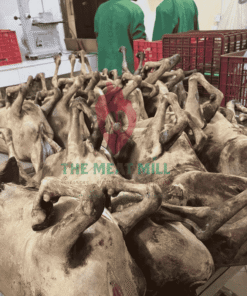 Large Full Goat 15kg all parts included – fresh whole goat meat with offals, head, leg, and bone, hygienically processed.