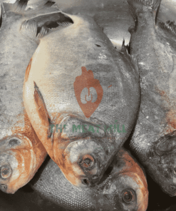 Pacu Owere Fish 1kg cleaned and ready to cook from MeatMill Nigeria