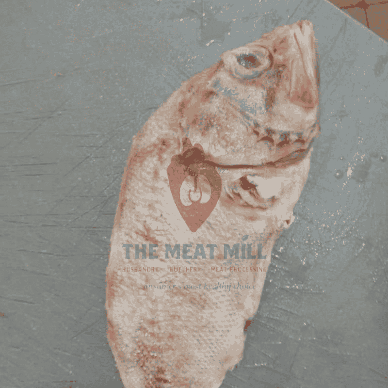 Fresh Rock fish 1kg Fresh imported Rock Fish – 1kg from MeatMill Nigeria, cleaned of scales and processed under HACCP, SON, and NAFDAC standards.