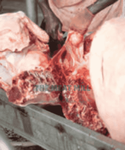 Quarter of Whole Cow – 34kg fresh beef cuts