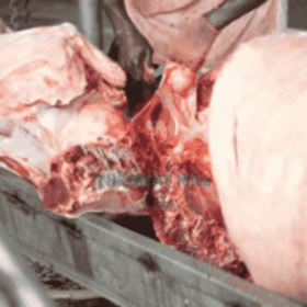 Quarter of Whole Cow – 34kg fresh beef cuts