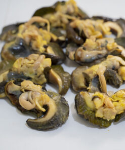 Big Snails -10 pieces