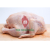 broiler chicken meat the meatmill