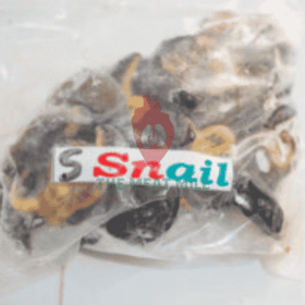 Fresh Small Snail – 10 Pieces Cleaned and Ready for Cooking | MeatMill Nigeria