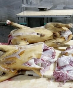 Fresh Half Large Goat Meat (7.5kg) – Premium Nigerian Goat Cut for Grills, Pepper Soup & Asun | MeatMill