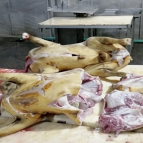 Half Large Goat 7.5kg Fresh Half Large Goat Meat (7.5kg) – Premium Nigerian Goat Cut for Grills, Pepper Soup & Asun | MeatMill